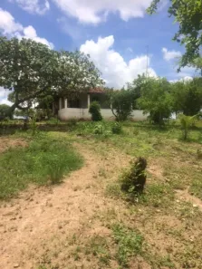 Fazenda / Sítio / Chácara com 4 Quartos à venda, 120000m² no , Aliança