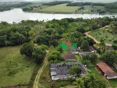 Fazenda / Sítio / Chácara com 3 Quartos à venda, 250m² no Povoado, Alhandra
