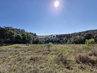 Fazenda / Sítio / Chácara à venda, 20501m² no Área Rural de Araucária, Araucária