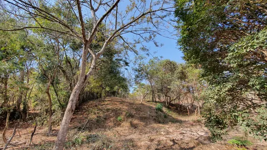 Terreno / Lote / Condomínio à venda, 20000m² no Centro, Fortuna de Minas