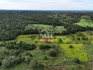 Fazenda / Sítio / Chácara com 3 Quartos à venda, 500m² no Setor Central, Gurupi