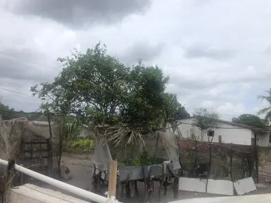 Fazenda / Sítio / Chácara com 3 Quartos à venda, 5500m² no , Vera Cruz