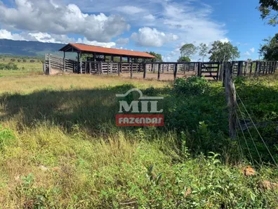 Fazenda / Sítio / Chácara à venda, 500m² no , Paranã