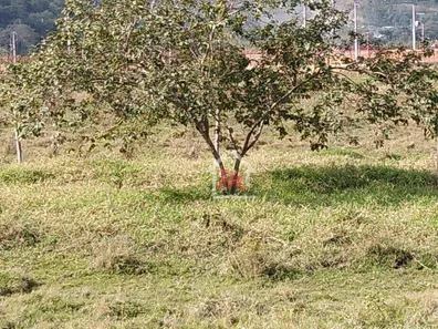 Terreno / Lote Comercial à venda, 46000m² no Belchior Baixo, Gaspar