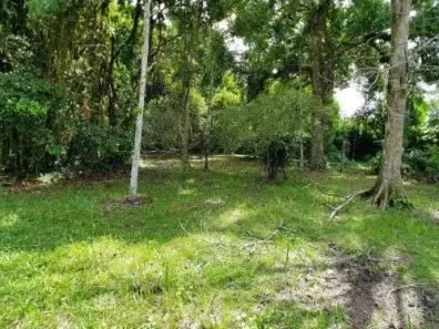 Fazenda / Sítio / Chácara com 3 Quartos à venda, 2160m² no Gaivota (Interior), Itanhaém