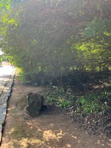 Terreno / Lote / Condomínio à venda, 46000m² no , Barra de Santo Antônio