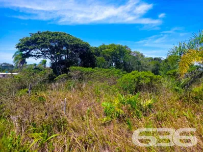 Terreno / Lote / Condomínio à venda, 360m² no Praia do Ervino, São Francisco do Sul