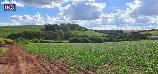 Terreno / Lote / Condomínio à venda, 208000m² no Rodovia, Sertanópolis