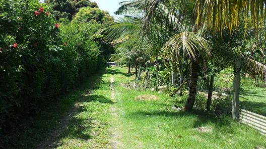 Fazenda / Sítio / Chácara com 5 Quartos à venda, 273m² no Manoel Ribeiro (Ponta Negra), Maricá