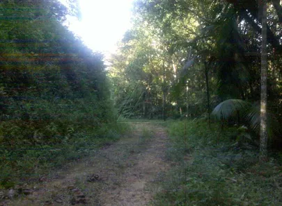Terreno / Lote / Condomínio à venda, 630000m² no Jardim Itapecerica, Itapecerica da Serra