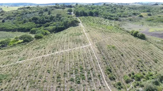 Fazenda / Sítio / Chácara à venda, 140000m² no , Sairé