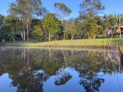 Fazenda / Sítio / Chácara com 6 Quartos à venda, 4000m² no Dos Borges, Embu-Guaçu