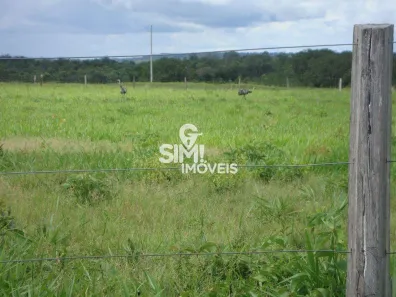 Fazenda / Sítio / Chácara à venda, 1507m² no , Pedro Afonso