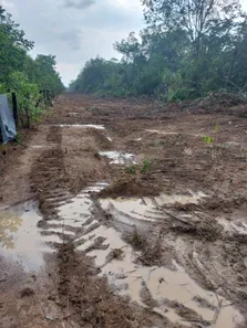 Fazenda / Sítio / Chácara à venda, 142m² no , Lagoa da Confusão