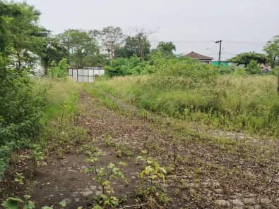 Terreno / Lote / Condomínio à venda, 3000m² no Vila Paulista, Cubatão