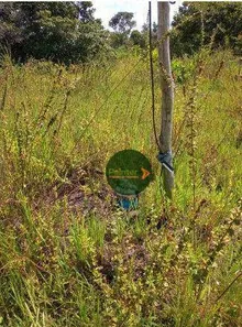 Fazenda / Sítio / Chácara à venda, 35622400m² no , Paranã