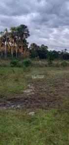 Fazenda / Sítio / Chácara à venda, 8228000m² no Presidente Kennedy, Presidente Kennedy