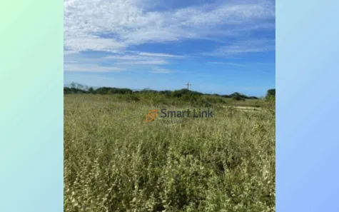 Terreno / Lote / Condomínio à venda, 41000m² no Mel de Baixo, Areia Branca