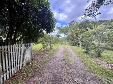 Fazenda / Sítio / Chácara com 6 Quartos à venda, 42000m² no Serra Negra, Bezerros