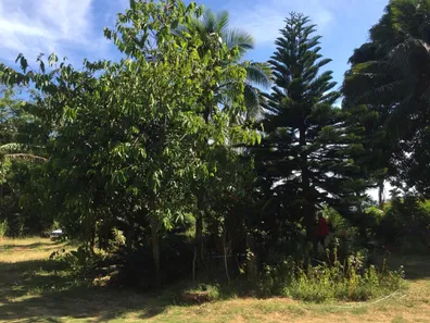 Fazenda / Sítio / Chácara com 3 Quartos à venda, 172m² no Rio Mole (Bacaxá), Saquarema