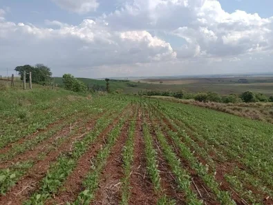 Fazenda / Sítio / Chácara à venda, 193600m² no Centro, Bela Vista do Paraíso