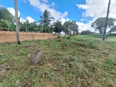 Terreno / Lote / Condomínio à venda, 1050m² no , Conde