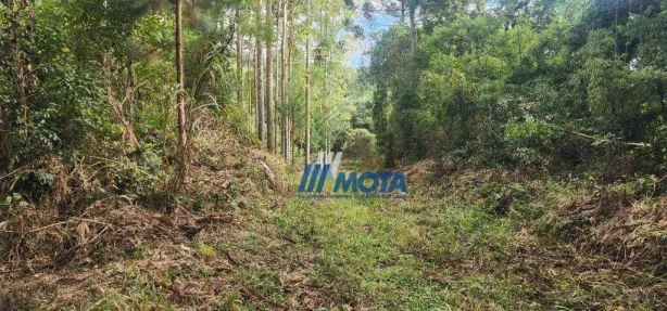 Fazenda / Sítio / Chácara à venda, 186700m² no Área Rural de Campo Largo, Campo Largo
