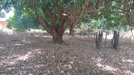Terreno / Lote / Condomínio à venda, 4600m² no Parque Piauí II, Timon