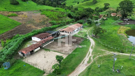 Fazenda / Sítio / Chácara à venda, 451900m² no , Canhotinho