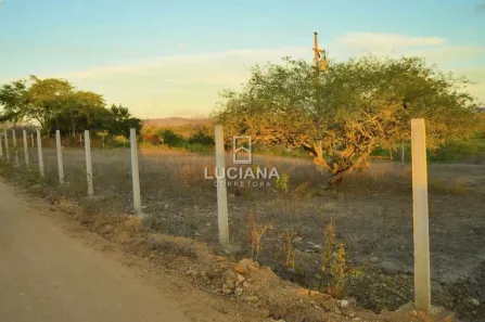 Fazenda / Sítio / Chácara à venda, 20000m² no Povoado Insurreição, Sairé