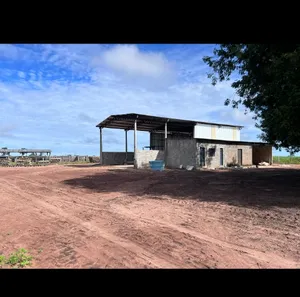 Fazenda / Sítio / Chácara à venda no , Guaraí