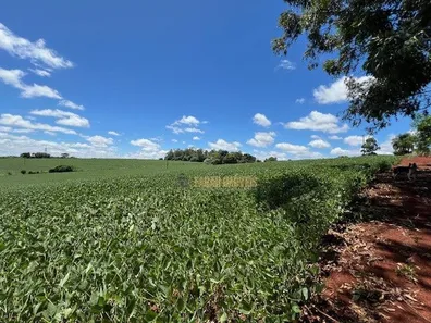 Fazenda / Sítio / Chácara com 6 Quartos à venda, 4m² no Parque Industrial José Garcia Gimenes, Cambé