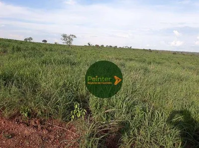 Fazenda / Sítio / Chácara à venda, 12387375m² no Área Rural de Gurupi, Gurupi