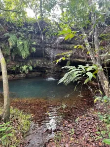 Fazenda / Sítio / Chácara à venda, 2613600m² no , Ponte Alta do Tocantins