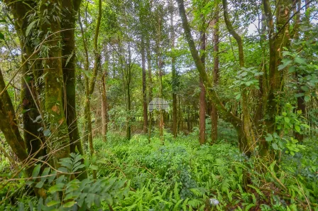 Terreno / Lote / Condomínio à venda, 8709m² no Colonia Santa Gabriela, Almirante Tamandaré