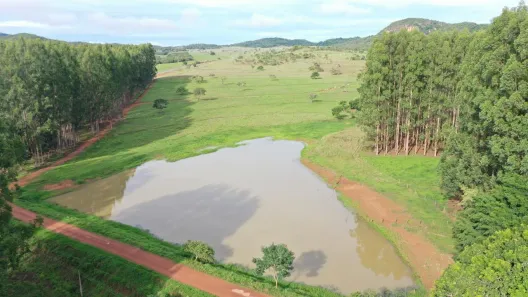 Fazenda / Sítio / Chácara com 4 Quartos à venda, 6000000m² no , Padre Bernardo