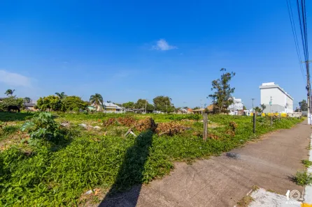 Terreno / Lote Comercial à venda, 3750m² no Arroio da Manteiga, São Leopoldo