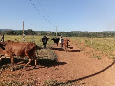 Fazenda / Sítio / Chácara à venda, 20000m² no Jardim Lago Azul, Novo Gama