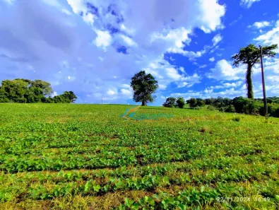 Fazenda / Sítio / Chácara à venda, 72600m² no , Catanduvas