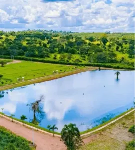Terreno / Lote / Condomínio à venda, 1036m² no Setor Ana Rosa, Trindade