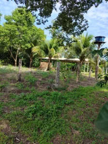 Terreno / Lote / Condomínio com 1 Quarto à venda, 500m² no , Paranã
