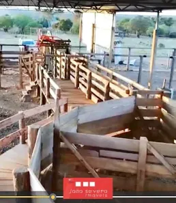 Fazenda / Sítio / Chácara à venda, 3291200m² no , Cristalândia