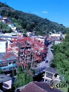 Apartamento com 2 Quartos à venda, 79m² no Centro, Petrópolis