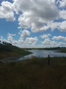 Fazenda / Sítio / Chácara com 4 Quartos à venda, 20000m² no , Feira Nova
