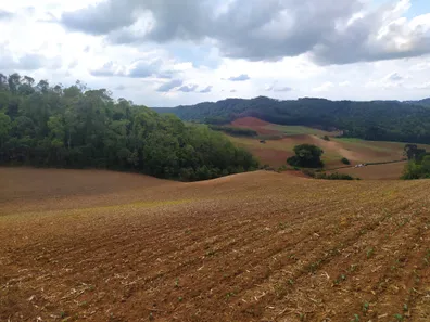 Fazenda / Sítio / Chácara à venda, 48400m² no Pacotuba, Almirante Tamandaré