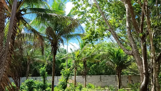Casa de Condomínio com 1 Quarto à venda, 380m² no Barra do Pojuca (Monte Gordo), Camaçari