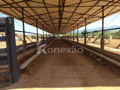 Fazenda / Sítio / Chácara com 2 Quartos à venda, 249m² no Chácara Marambaia, Caçapava
