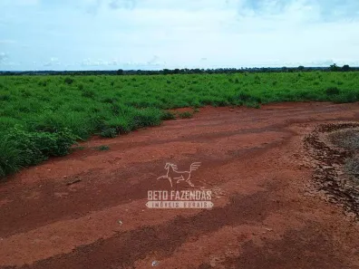 Fazenda / Sítio / Chácara à venda, 76850000m² no , Formoso do Araguaia