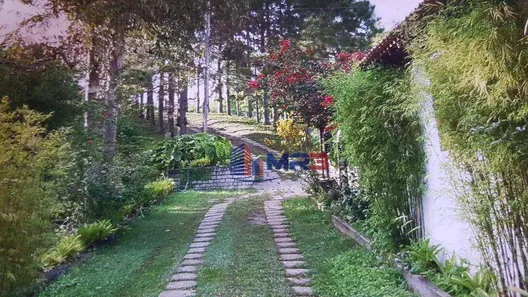Fazenda / Sítio / Chácara com 3 Quartos à venda, 220m² no Arrozal, Piraí