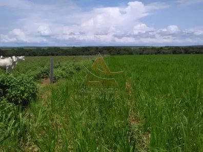 Fazenda / Sítio / Chácara com 6 Quartos à venda, 95287500m² no Guaraí, Guaraí